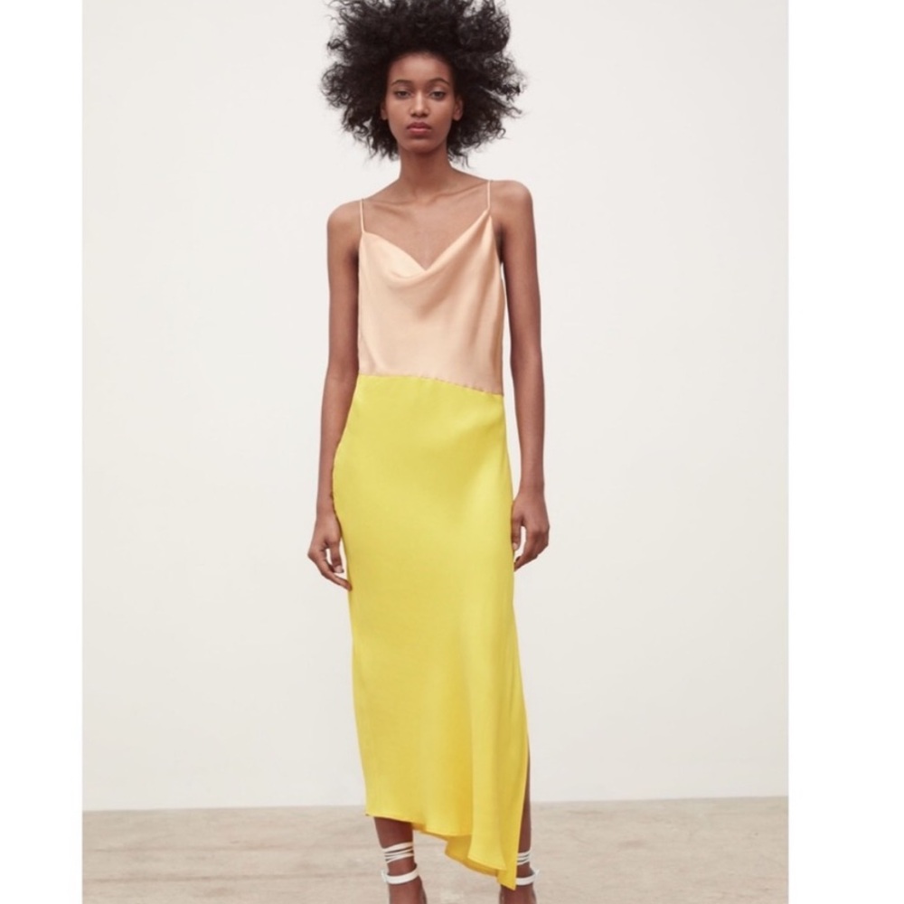 Zara Color block Dress